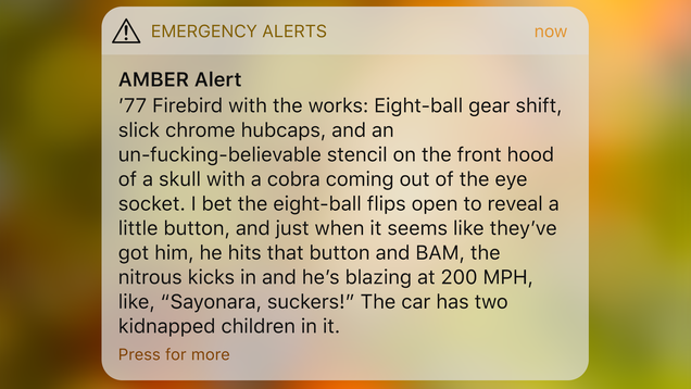 Illustration for article titled 5 AMBER Alerts That Were Sent Out That Were Clearly More Focused On How Sweet The Car Was
